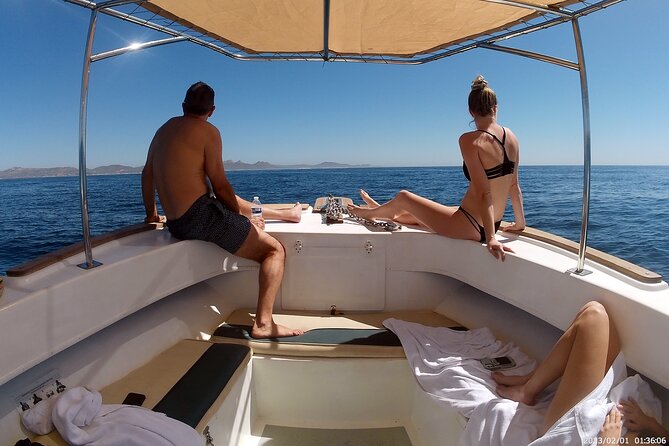 Private Snorkeling Boat Tour in San Jose Del Cabo - Meeting and Pickup