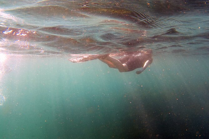 Private Snorkeling Boat Tour in San Jose Del Cabo - Health and Safety