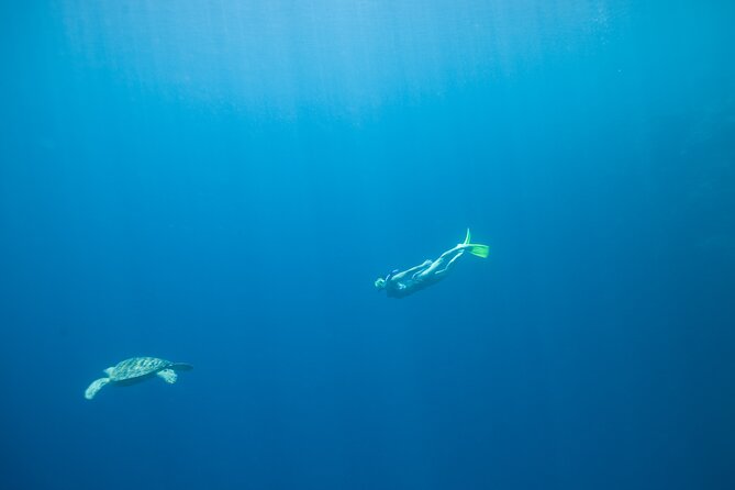 Private Snorkeling Experience in Aqaba Red Sea - Inclusions and Amenities