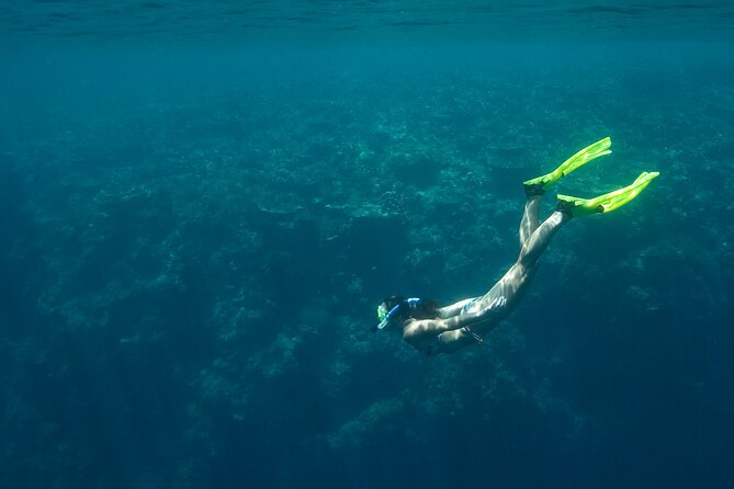 Private Snorkeling Experience in Aqaba Red Sea - Availability and Scheduling