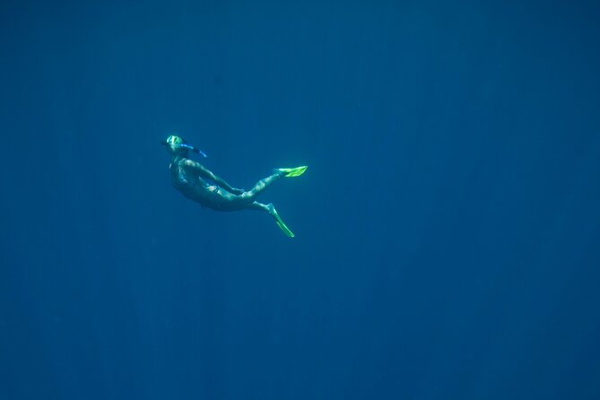 Private Snorkeling Experience in Aqaba Red Sea - Participant Requirements