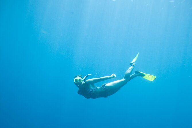 Private Snorkeling Experience in Aqaba Red Sea - Additional Details