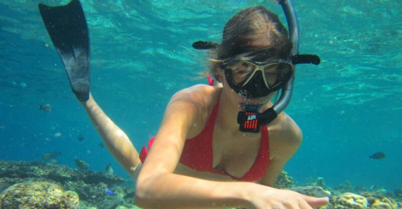 Private Snorkeling Family or Group at Menjangan Island - Included Experiences