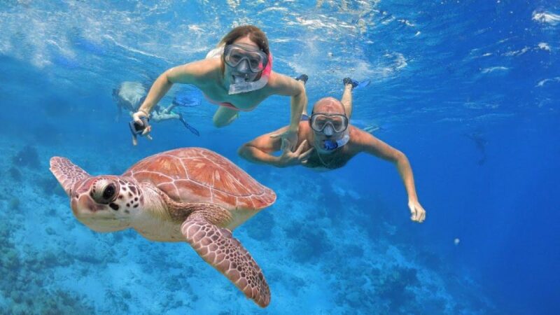 Private Snorkeling Family or Group at Menjangan Island - Snorkeling Spots