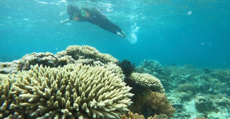 Private Snorkeling Gili Gede, Gili Asahan, Gili Goleng Tour - Pricing and Duration