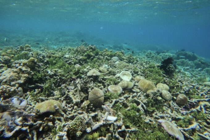 Private Snorkeling Gili Gede, Gili Asahan, Gili Goleng Tour - Inclusions and Exclusions