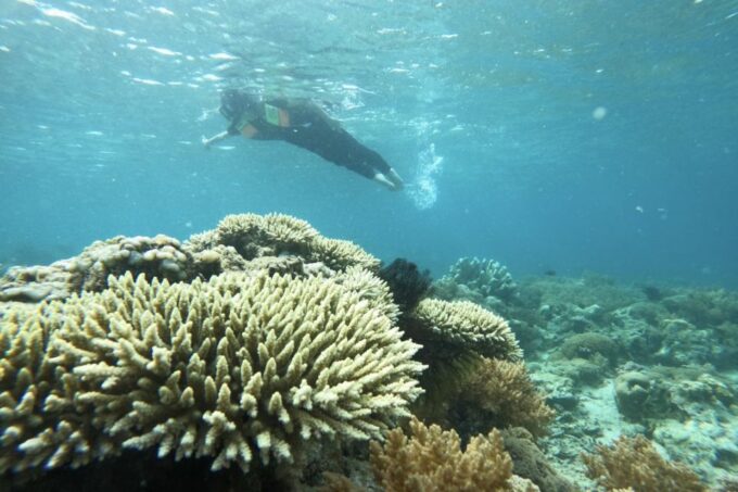 Private Snorkeling Gili Gede, Gili Asahan, Gili Goleng Tour - Important Information for Participants