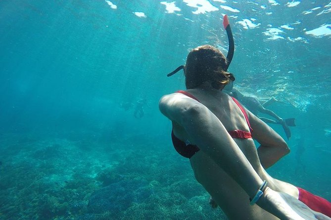 Private Snorkeling Gili Island (Coral, Statue and Turtle) - Meeting Point and Pickup