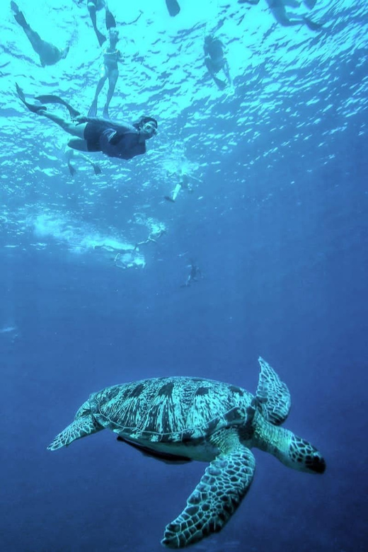 Private Snorkeling Gili Islands Full Day Tour - Key Points