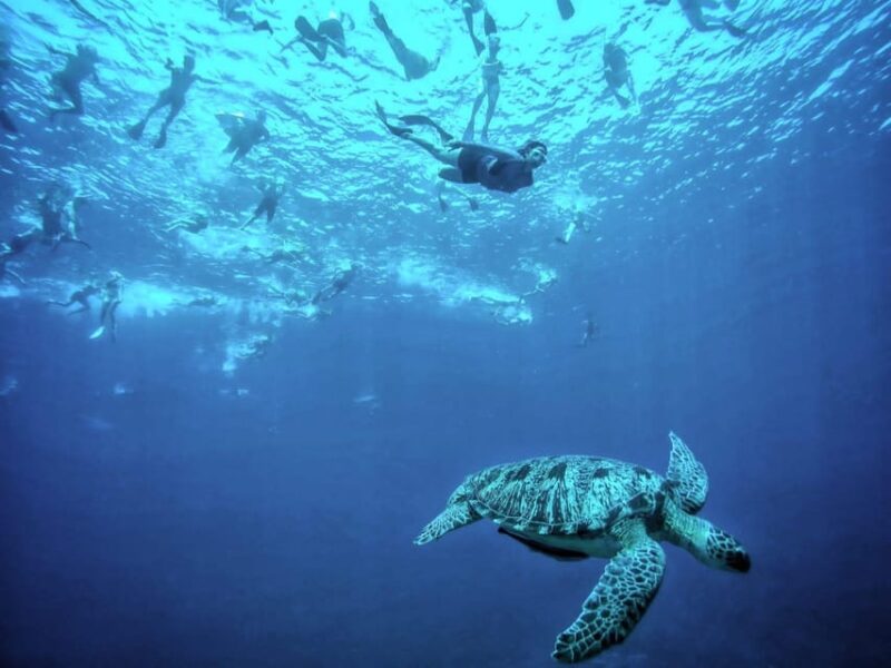 Private Snorkeling Gili Islands Full Day Tour - Restrictions and Policies