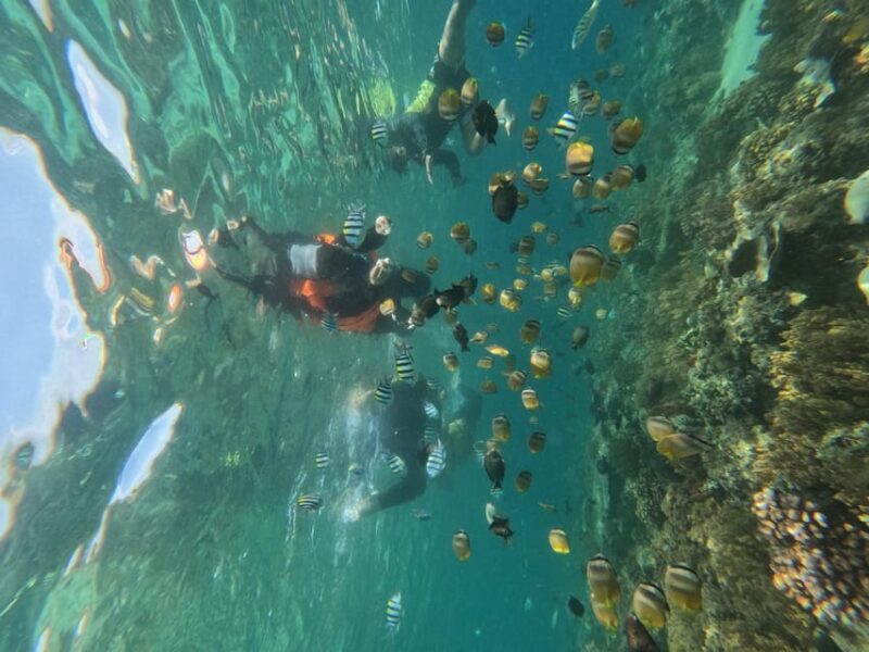 Private Snorkeling Gili Islands Full Day Tour - Customer Feedback
