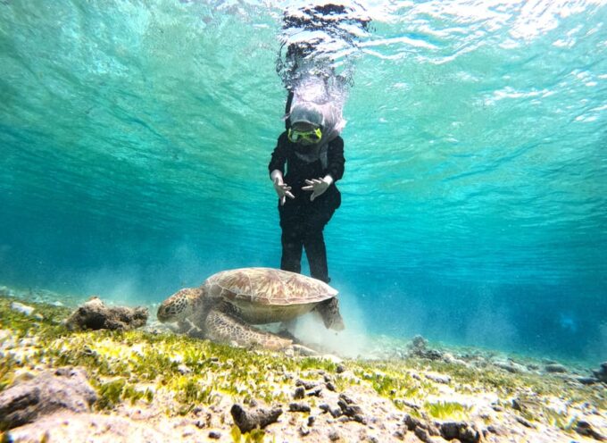 Private Snorkeling Gili Islands Full Day Tour - Frequently Asked Questions