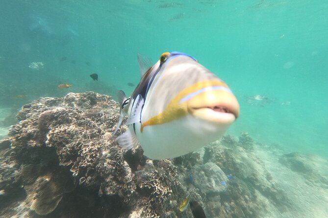 Private Snorkeling in Okinawa With Tropical Fish and Rock Pools - Snorkeling Equipment and Attire