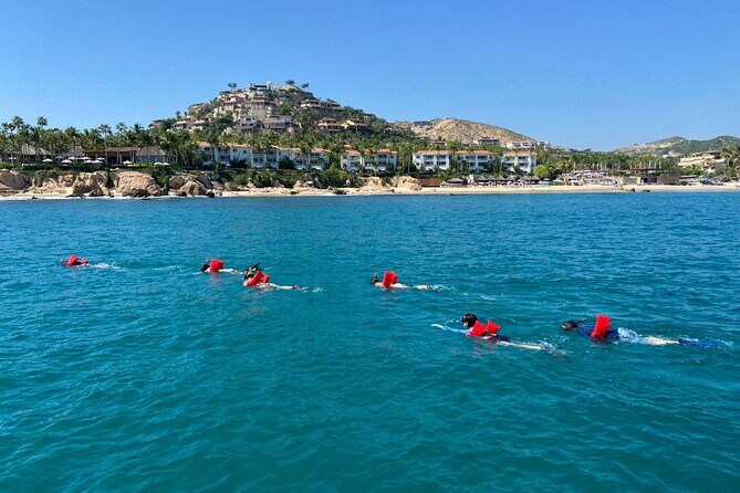 Private Snorkeling In San Jose Del Cabo Lunch, Drinks, Snack - Who Is This Tour Best For?