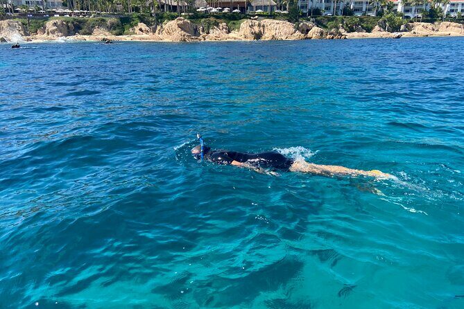 Private Snorkeling In San Jose Del Cabo Lunch, Drinks, Snack - The Sum Up