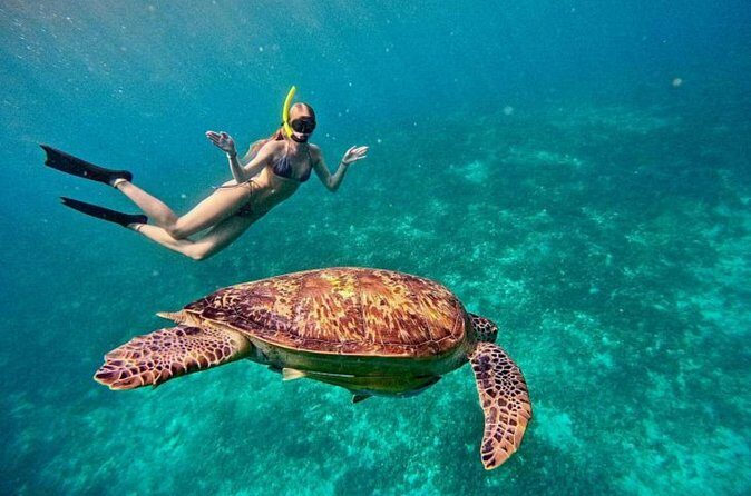 Private Snorkeling Start Gili Meno and Explore 4 Spots with GoPro - The Real Value: Is It Worth It?
