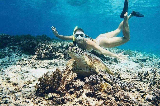 Private Snorkeling Start Gili Meno and Explore 4 Spots with GoPro - Who Should Book This Tour?