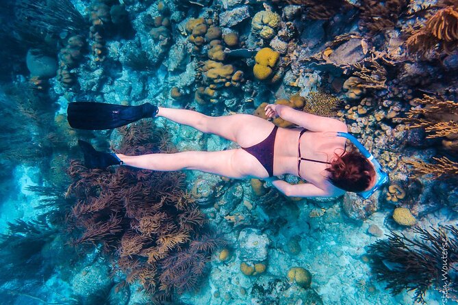 Private Snorkeling Tour Bonaire - Pickup and Transportation