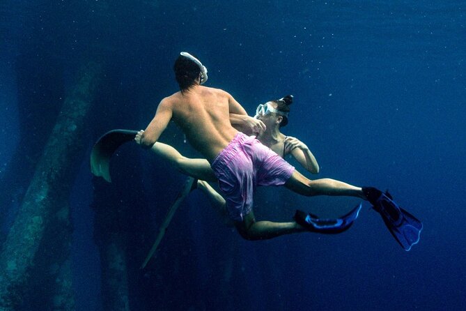 Private Snorkeling Tour Bonaire - Tour Highlights