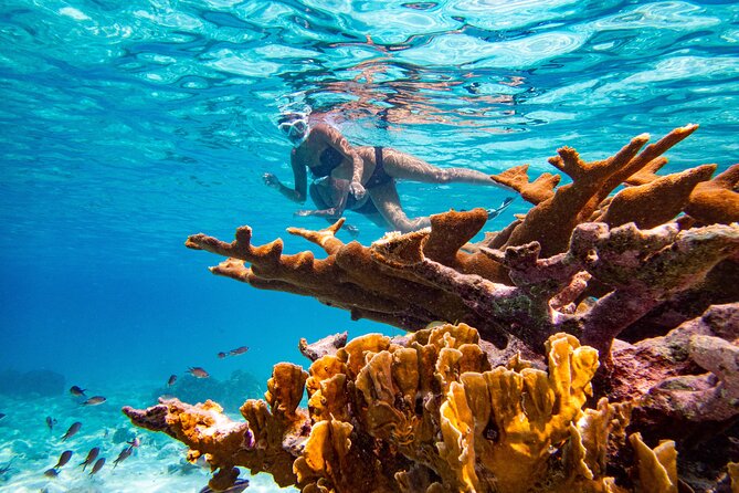 Private Snorkeling Tour Bonaire - Guest Feedback