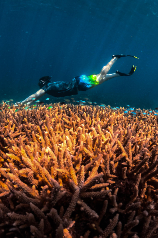 Private Snorkeling Tour Gili Trawangan, Gili Meno, Gili Air - Tour Overview