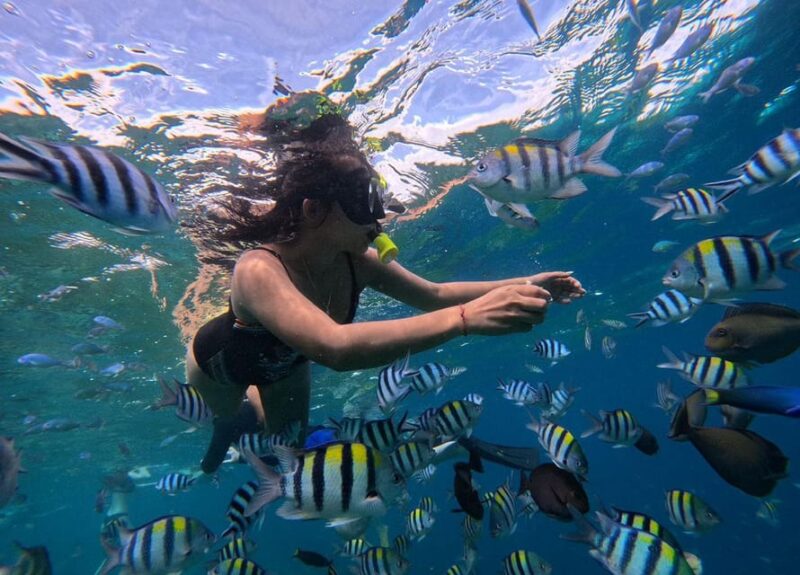 PRIVATE SNORKELING TOUR GILI TRAWANGAN+GILI MENO+GILI AIR - Preparation and Meeting Point