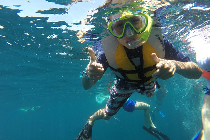 Private Snorkeling Tour in Cabo San Lucas - Itinerary and Duration Options