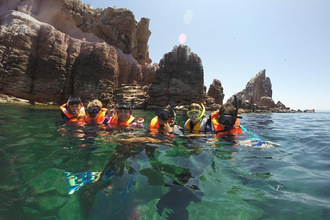 Private Snorkeling Tour in Cabo San Lucas - Snorkeling Activities and Marine Life