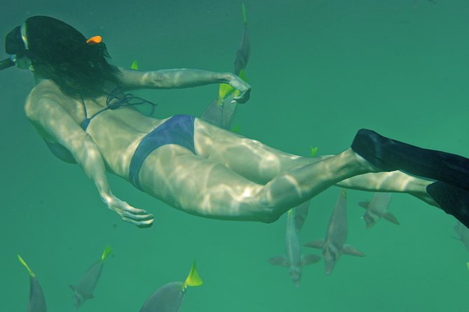 Private Snorkeling Tour in Cabo San Lucas - Meeting Point and Location Details