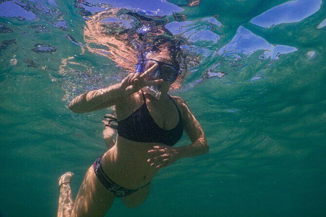Private Snorkeling Tour In Sydney's Marine Reserve - What to Expect on Your Snorkeling Adventure