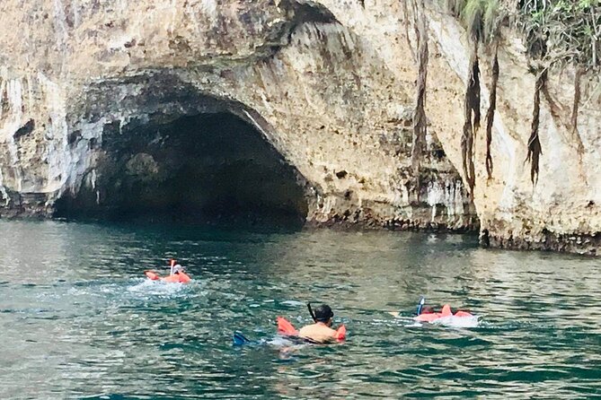 Private Snorkeling Tour to Los Arcos - Marine Life to Spot