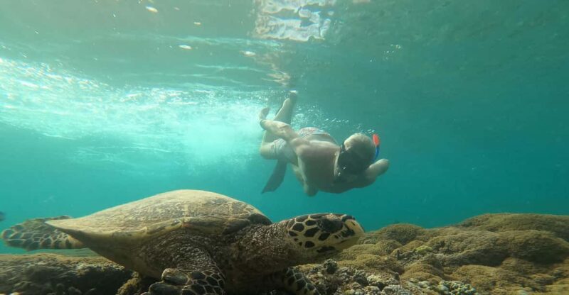 Private Snorkeling Trip, Gili Air - Experience Highlights