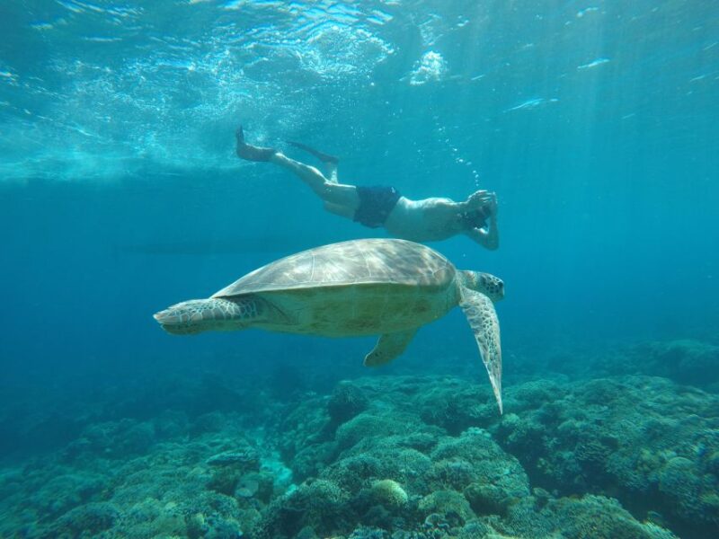 Private Snorkeling Trip - Gili Island Snorkeling