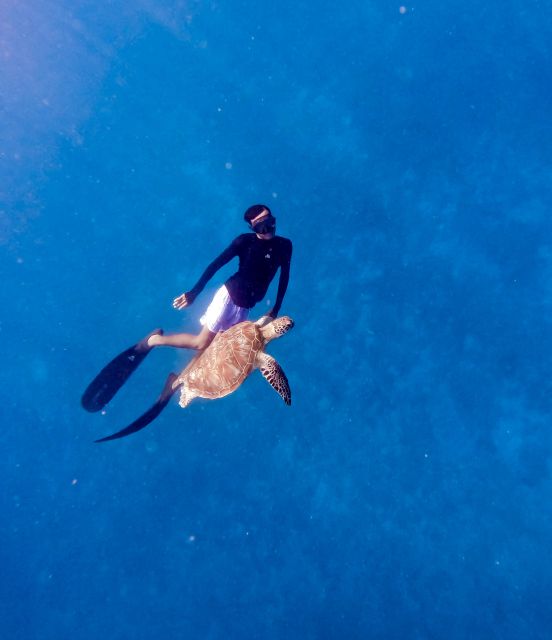 Private Snorkeling With Turtle and Romantice Statue - Key Points