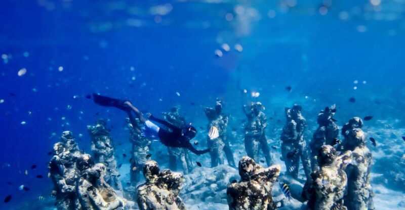 Private Snorkeling With Turtle and Romantice Statue - Inclusions