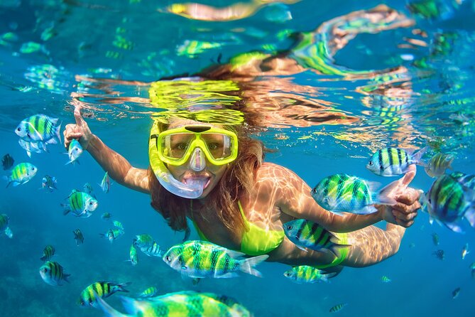 Private Snorkeling With Turtles in Fujairah With BBQ - Inclusions