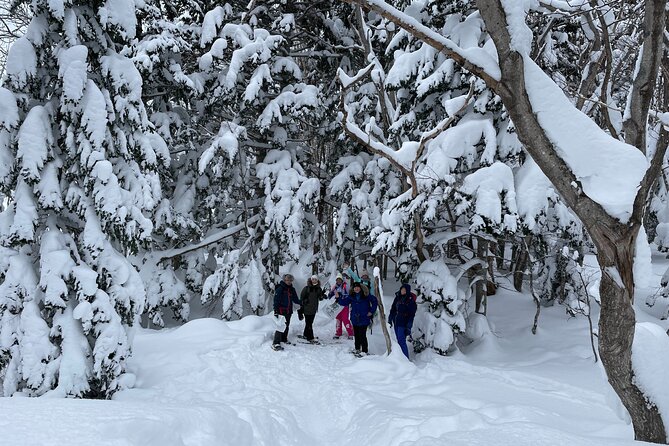 Private Snow Shoe Tour in Shiretoko National Park - Lunch and Refreshments