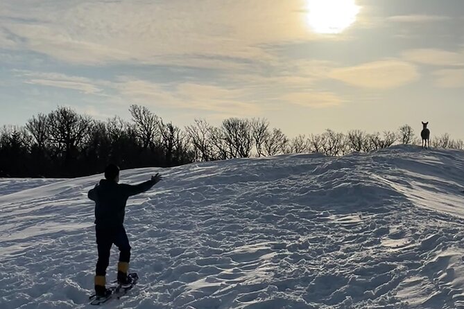Private Snow Shoe Tour in Shiretoko National Park - Health and Safety Considerations