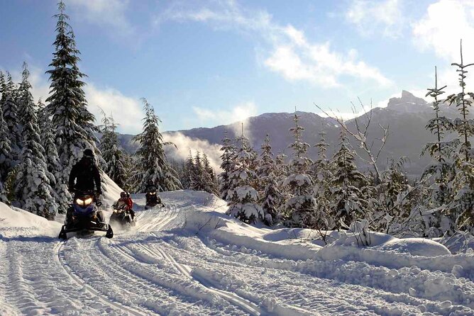 Private Snowmobile Tour in Whistler - Collision Coverage