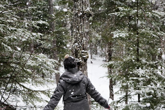 Private Snowshoeing Adventure From Badger Pass to Dewey Point - Inclusions and Equipment