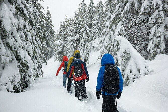 Private Snowshoeing Adventure From Badger Pass to Dewey Point - Meeting and Logistics
