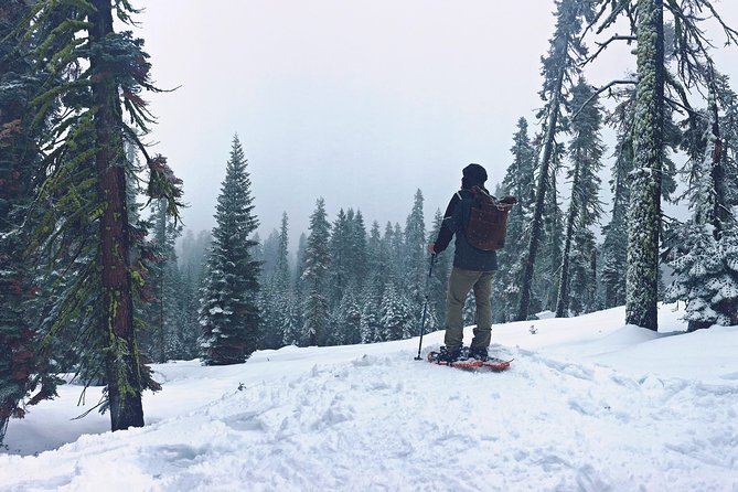 Private Snowshoeing Adventure From Badger Pass to Dewey Point - Booking Information