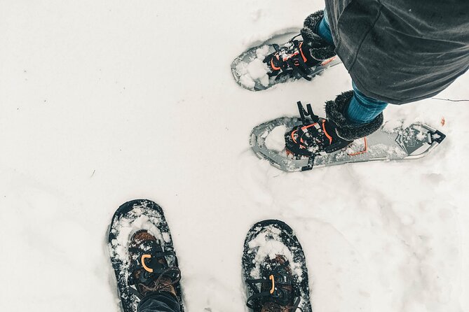 Private Snowshoeing Adventure From Badger Pass to Dewey Point - Panoramic Vistas of Yosemite