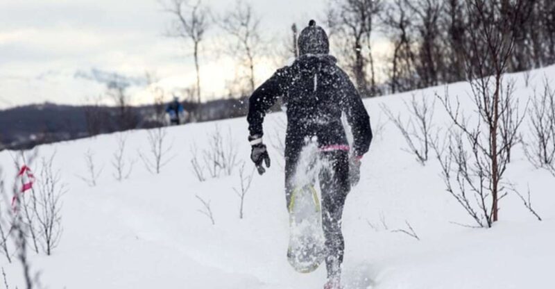 Private Snowshoeing Full Day - Highlights