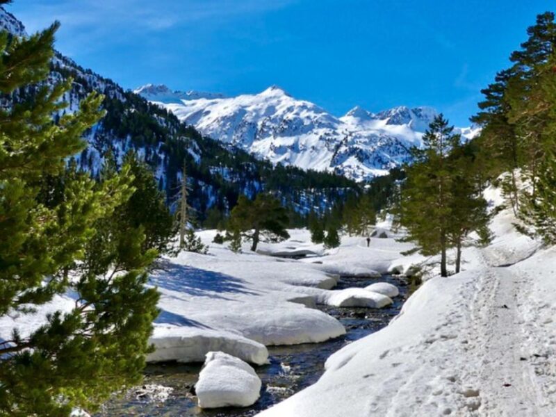 Private Snowshoeing Full Day - Availability