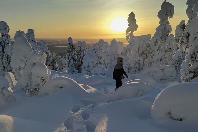 Private Snowshoeing in Levi - Meeting and Pickup