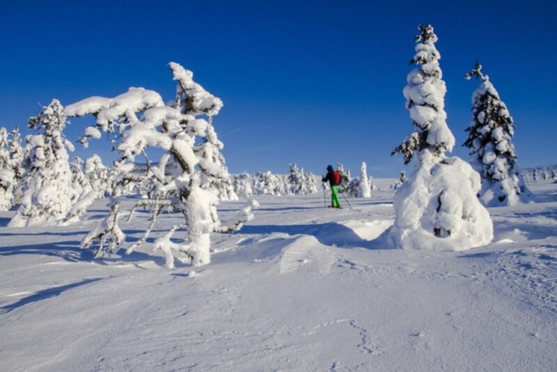 Private Snowshoeing Night Trip and Dinner in a Refuge - Key Points