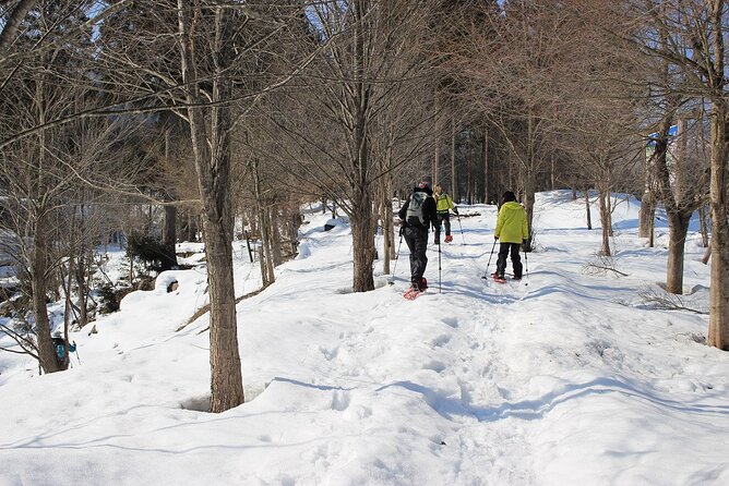 Private Snowshoeing Tour in Hida - Meeting and End Points