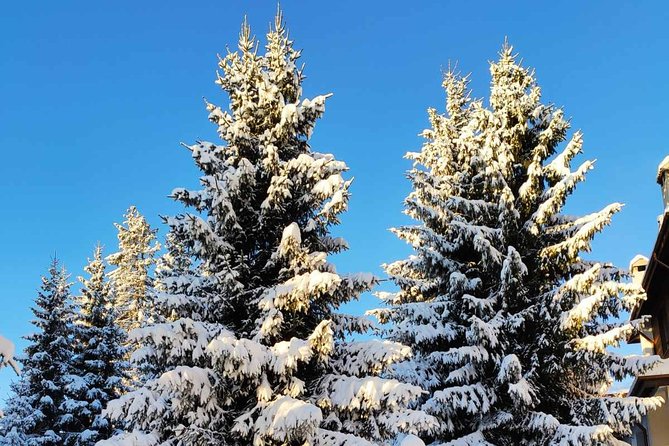 Private Snowshoeing Vitosha for 1 Day - Included Equipment