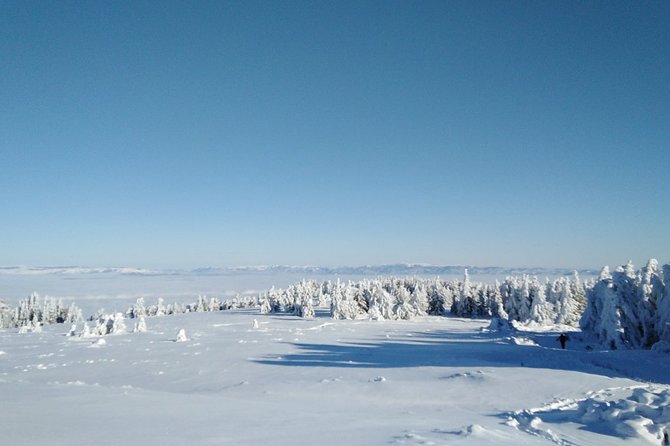 Private Snowshoeing Vitosha for 1 Day - Pricing and Payment